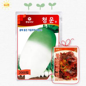 팜한농 흥농 청운무 2000립 저장 김장 가을 무 무우 씨앗 씨 종자