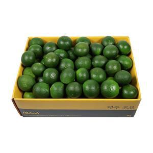 [삼다몰]제주 청귤 풋귤) 3kg 5kg 10kg