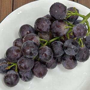 고당도 거봉포도 4kg 국내산 씨없는 포도 제철 거봉 (8~10수)