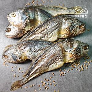 [바다성찬]부세 보리굴비 5미(25~27cm)