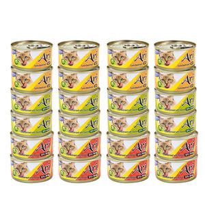 테비토퍼 아리캔 80g x 24개 고양이캔