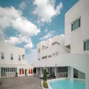 [제주] 제주 레이니데이(제주, 제주)