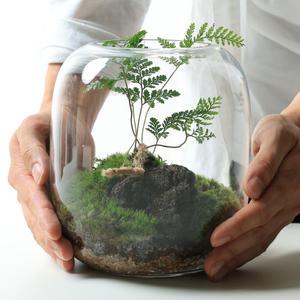 포러모먼트 테라리움 키트 이끼테라리움 만들기 비바리움 반려식물 키우기 데스크테리어 집들이선물 공기정화