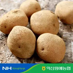 [익산원예농협] 국산 수미감자 25년 햇감자 흙감자 왕특 사이즈 5kg
