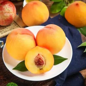 의성 햇살어린 황도 복숭아 2kg