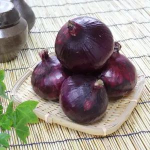 자색양파 10kg(특품)