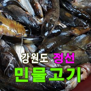 민물고기/잡고기500g/미꾸라지 탱수500g/종류선택/강원도 정선