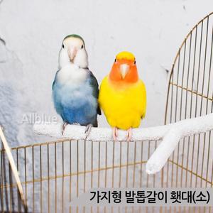 가지형 네츄럴 발톱갈이 횃대(소) 횟대 앵무새횃대