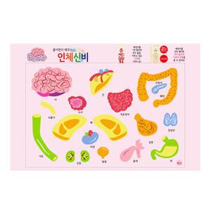 쁘띠팬시 키즈 교육용 스티커 DA5546-인체신비