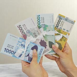 모의 화폐 학습 교구 어린이 경제 교육 금융 교육 A6포켓파일