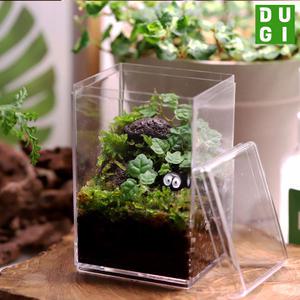 제주애기모람 테라리움 만들기 DIY 키트 높은직사각 비단이끼 키우기 비바리움