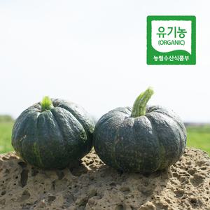 제주 유기농 미니단호박 보우짱 5kg