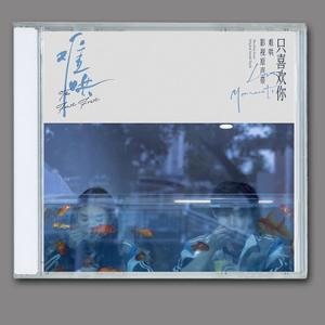중드 난홍 하드 투 플리즈 OST 앨범 CD 투바투