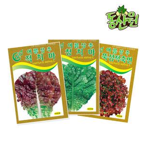 여름상추씨앗 3000립 적치마 청치마 뚝섬 상추종자 쌈채소씨앗