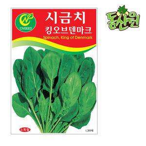 시금치씨앗 1300립 시금치종자 텃밭채소씨앗