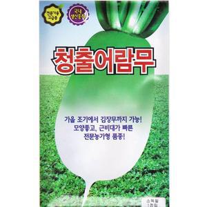 [영농사]청출어람 무씨앗 1천립 김장무씨앗