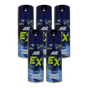 신신제약 에어파스EX 스프레이 파스 200ml 5개