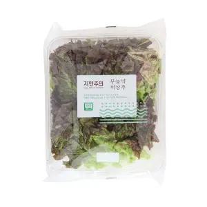 친환경 적상추 150g
