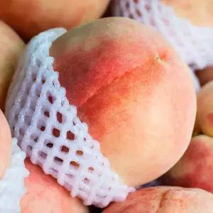 푸드공작소 털복숭아 반말랑이 백도복숭아 1kg 2kg