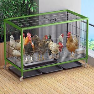 조립식닭장 닭집 양계장 병아리 비둘기 오리 오골계 106x56x65 닭 8마리