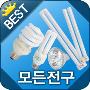 오스람 EL 20W 필립스/GE/히포/시티