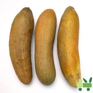 노각 (늙은오이) 10Kg (상)