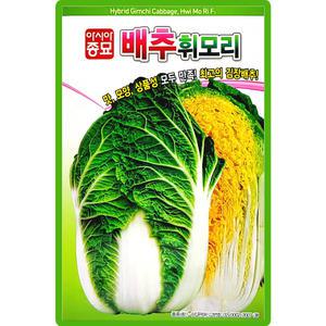 휘모리배추 씨앗 김장배추 씨 종자 1000립