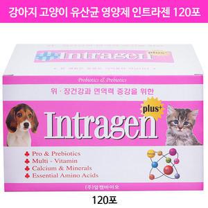 강아지 고양이 영양제 유산균 인트라젠 플러스 종합영양제 120포