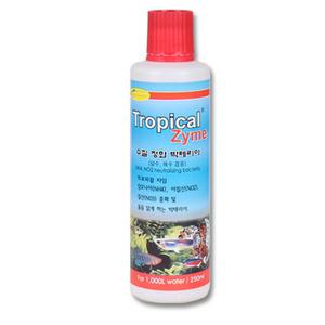 트로피칼 자임 대 250ml