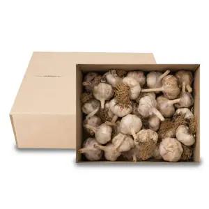 서산 대서마늘 햇마늘 특 3kg