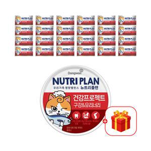 고양이간식 고양이캔 동원뉴트리플랜 건강프로젝트 냥이 습식캔 구강 유리너리 160g 24개