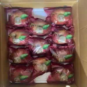 산지애 씻어나온 꿀사과 3kg 1box (중대과) / 경북산 미시마, 봉지 세척사과 , 당도선별 12brix