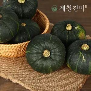 [제철진미]제철진미 제주 햇 미니 밤단호박 특품 7kg (개당 300g~600g)