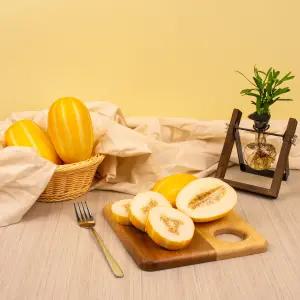 픽댓 새벽수확 고당도 개별망 성주 참외 대과 (9-15과 내외) 5kg
