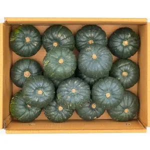 제주 미니 밤호박 보우짱 단호박 로얄과 못난이 모음 8kg