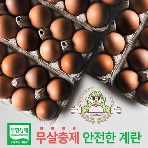 (큰손) 적합판정받은 안전한 구운계란 30구 한판