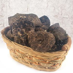 자연산 건조 능이버섯 A등급 300g(100gx3팩) /청정티벳산 프리미엄특품