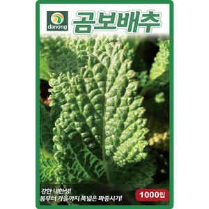 다농 곰보배추 씨앗 1000립 배암차즈기 곰보배추씨 종자
