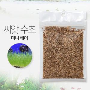 [기타]씨앗수초 미니헤어 8g