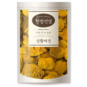 한방선생 국산 상황버섯 100g 1개