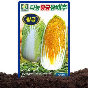 다농 황금쌈배추 씨앗 300립 라이코펜 함유 가을김장배추씨 종자 김장배추