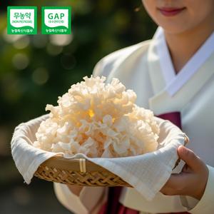 특 황금 생 꽃송이버섯 500g 무농약 친환경 눈꽃송이 버섯 효능 차 식단 보양식 선물 식사 식품 좋은 음식 건강식 수술후 면역력 베타글루칸 약초 효소 발효