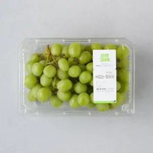 미국산 씨 없는 청포도 500g 팩