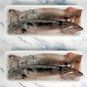 국내산 서해안 오징어 대사이즈 4미 (2마리 X 2팩 / 800g 내외)