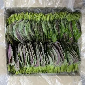 밀양 찹찹이깻잎 500g 1kg