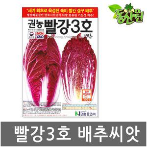 빨강배추씨앗 (3호) 100립 기능성 빨간배추종자 가을씨앗