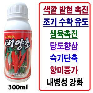 고추 착색제 태양초 300ml 액비 착색비료 당도증가 빠른 색깔발현 조기수확 장마철 가뭄 필수 고추비료