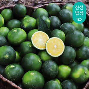 [품질보장] 깨비농원 제주 풋귤 2,3,5kg 풋귤청 청귤청 담금용