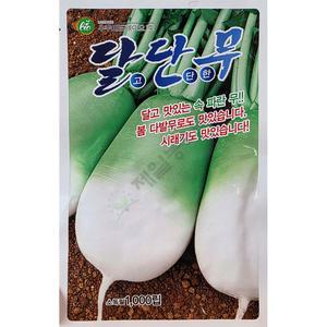 달단무 1000립 우주씨드 25년 김장씨앗 무씨앗