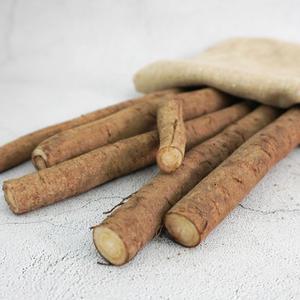 [미식한가] 국산 생 우엉 알뜰 (굵은 반찬용) 2kg 생우엉